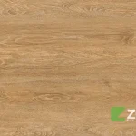 Zte671 A