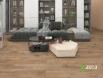 Ztw615 Picture 1